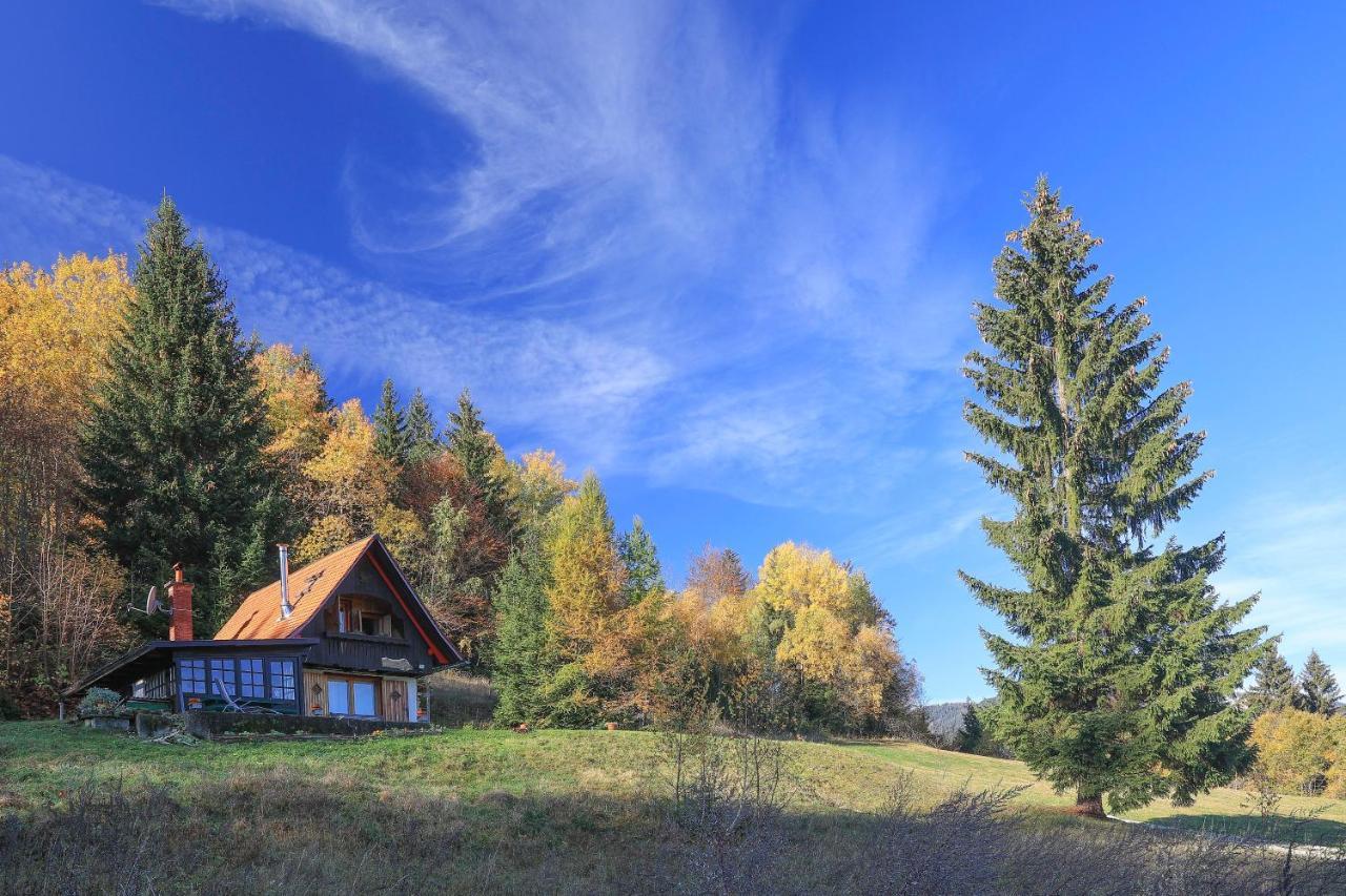 Fairytale Cottage - Peaceful Getaway Near Bled Zgornje Gorje Buitenkant foto