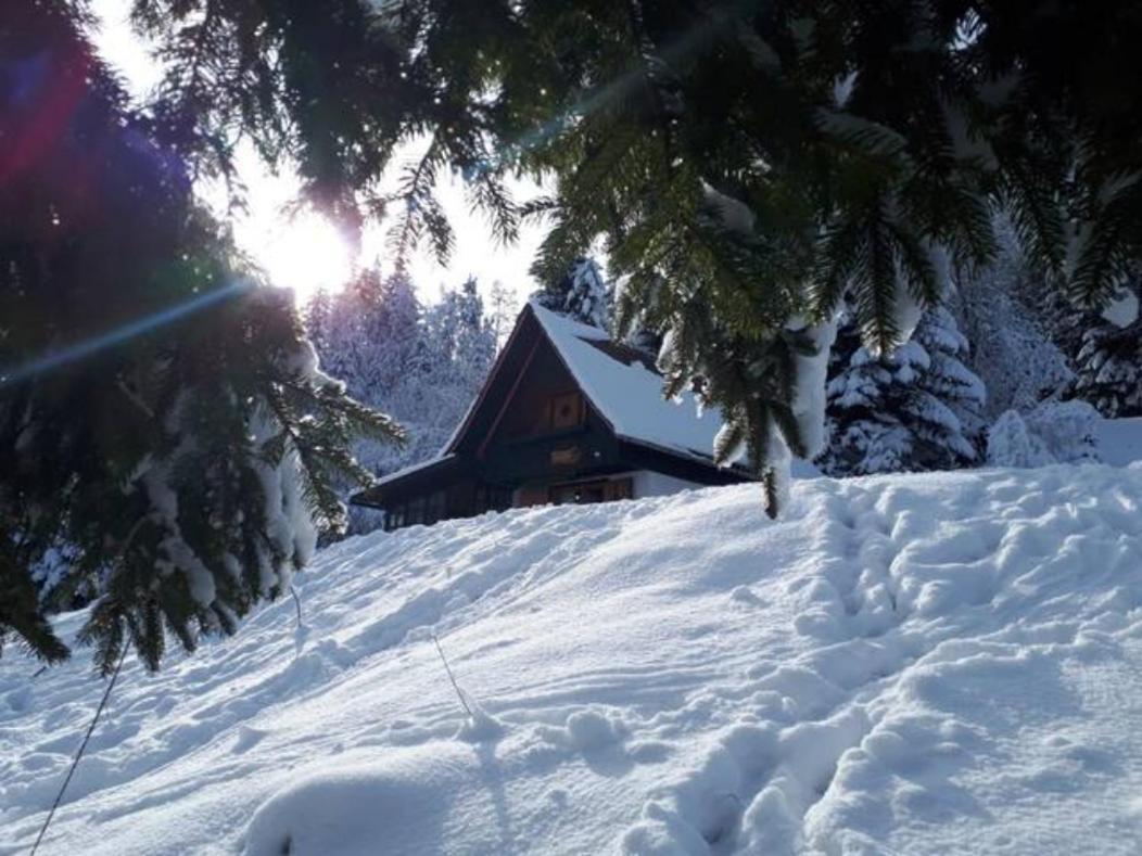 Fairytale Cottage - Peaceful Getaway Near Bled Zgornje Gorje Buitenkant foto